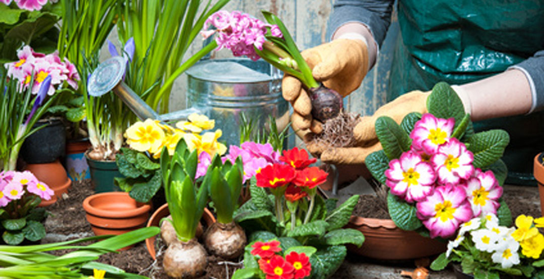 It is free, easy and convenient!