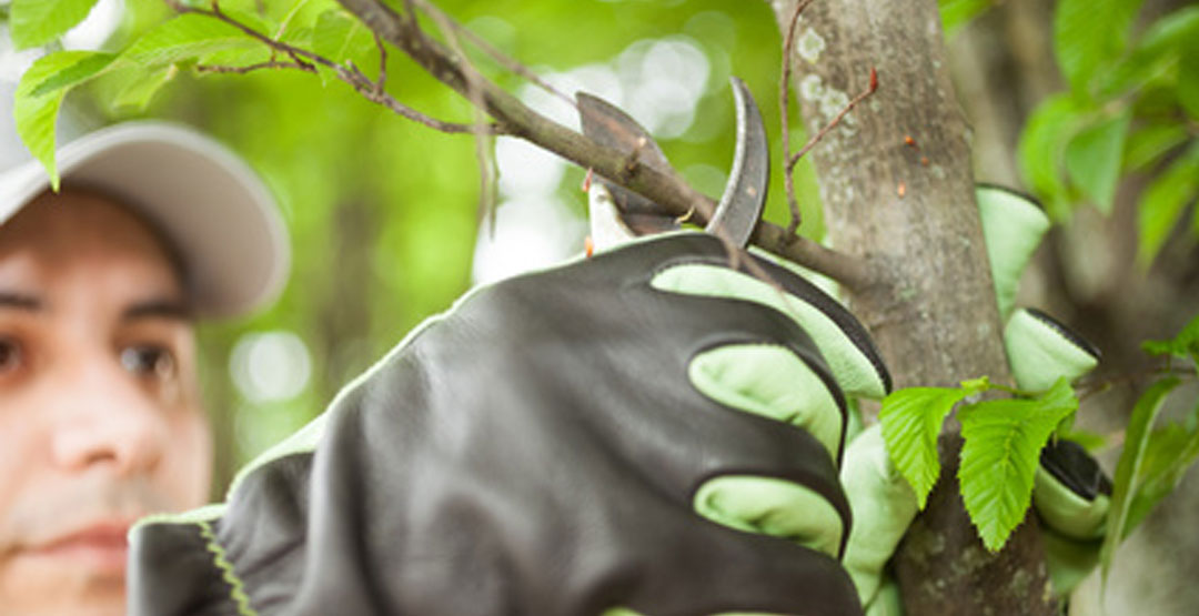 Choose or upload images using Media Manager