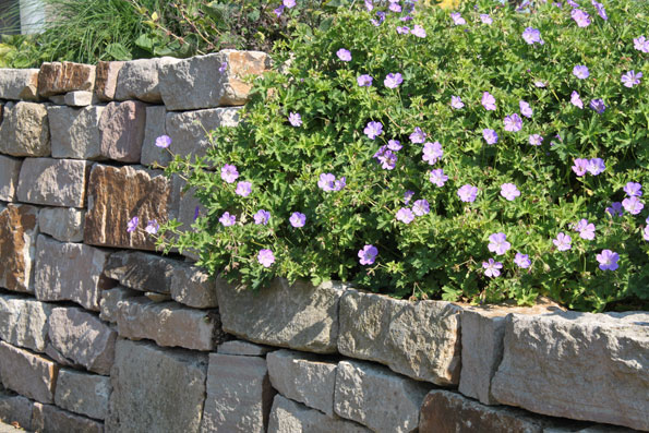Reininghaus - Berkamen - Gartengestaltung - Beete - Terrassen!